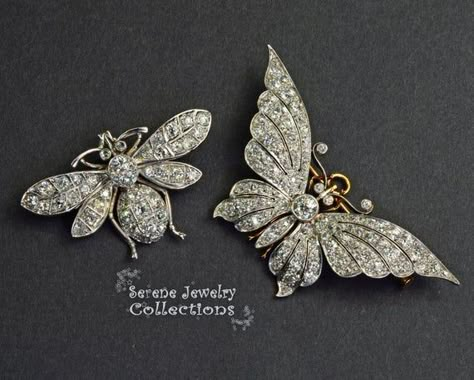 Complementary set of Edwardian period bee and butterfly brooches! These exhibit the platinum diamond and have many different types of diamond cuts.Total: 25.7 gramsTotal Diamonds: 6.4 caratsBee:Weight: 10.95 gramsSize: 1.7 inch x 1.1 inchPrecious Metal: PlatinumPrecious stones:-Diamond RoundsButterfly:Weight: 14.75 gramsSize: 2.5 inch x 1.2 inchPrecious Metal: PlatinumPrecious stones:-Diamond Rounds Types Of Diamond Cuts, Diamond Butterfly, Jewelry Design Drawing, Dragonfly Jewelry, Edwardian Jewelry, Bee Jewelry, Platinum Diamond Rings, Bee Brooch, Types Of Diamonds