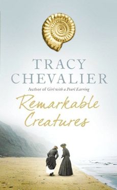 Tracy Chevalier: Lyme Regis Museum Tracy Chevalier, Marine Reptiles, Sister And Brother, Word Nerd, Books Pdf, Book List, Reading List, I Love Books, Historical Fiction