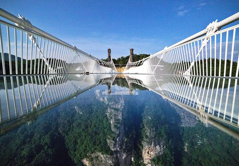 World's tallest and longest glass bridge closes after only 13 days Glass Bridge China, Tianmen Mountain, Glass Bridge, Zhangjiajie, Tourism Development, Bridge Photography, Italy Tours, Harbin, Pedestrian Bridge