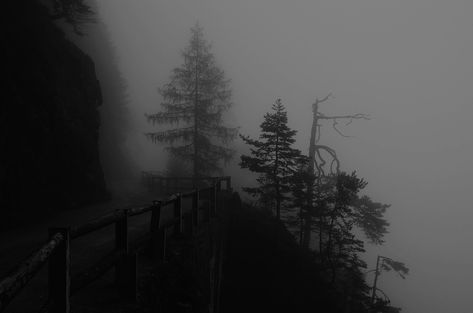 Dark Landscape, Foggy Forest, Goth Art, Photography Poses For Men, Dark Forest, Wallpaper Pc, Black Aesthetic, Dark Aesthetic, Fondos De Pantalla