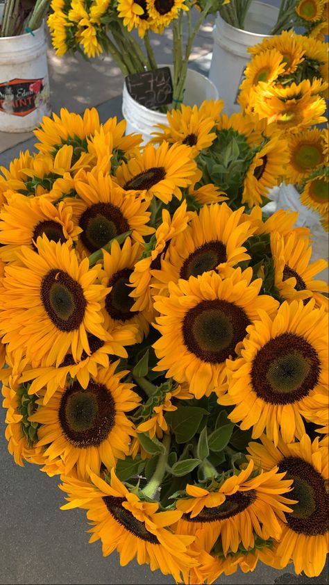 Sunflower Yellow Aesthetic, Sunflower Bouquet Aesthetic, Sunflowers Aesthetic, Yellow Flowers Bouquet, March Photography, Sunflower Aesthetic, Aesthetic Youtube, Sunflowers And Daisies, Sunflower Bouquet