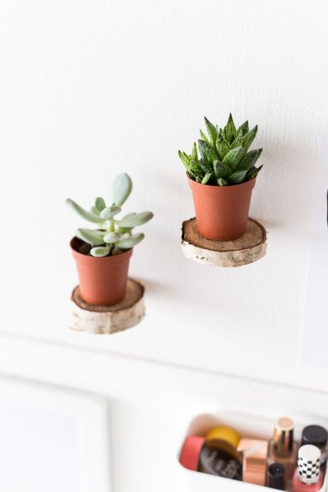 Floating Birch Board Ikea Floating Shelves, Wood Slice Decor, Floating Shelves Bedroom, Floating Shelf Decor, Diy Hanging Shelves, Floating Shelves Kitchen, Floating Shelves Bathroom, Easy Tricks, Wooden Floating Shelves