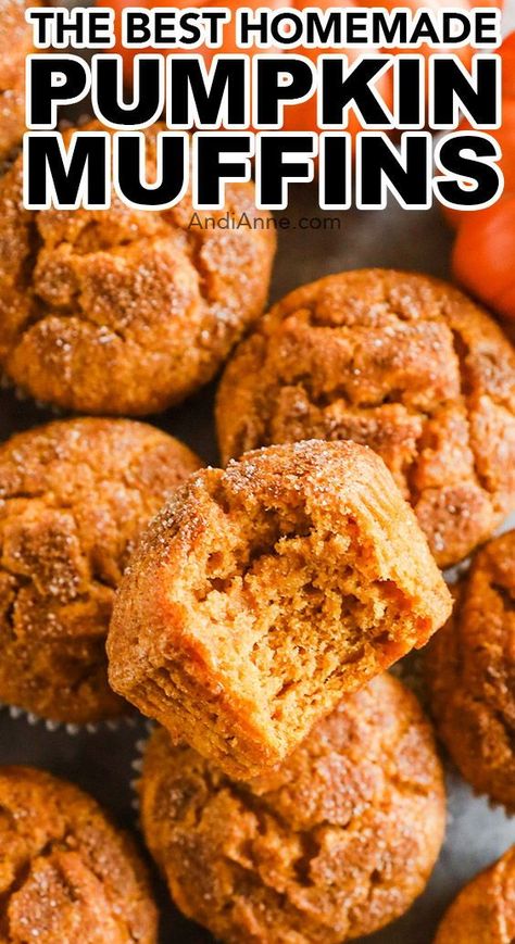 Fresh Pumpkin Muffin Recipes, Pumpkin Muffins With Yogurt, Pumpkin Muffins With Applesauce, Pumpkin Nut Muffins, Cream Of Wheat Muffins, Organic Pumpkin Muffins, Pumpkins Muffins, Sugar Pumpkin Pie Recipe, Craisin Muffins