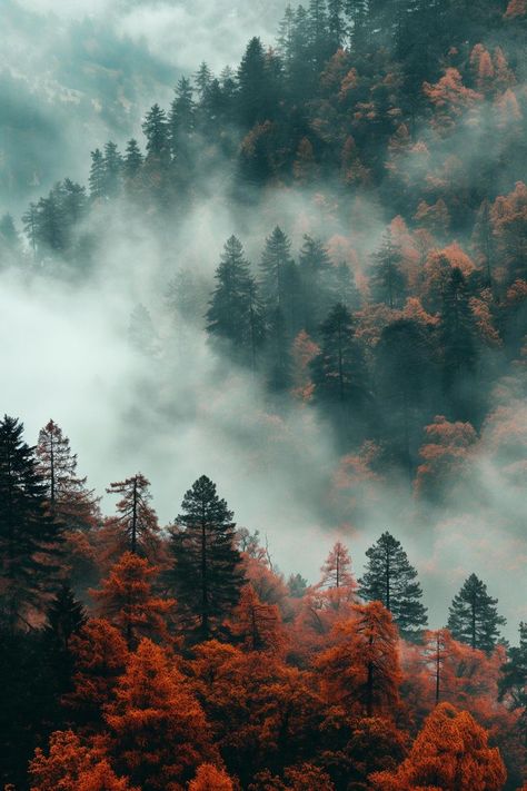 Autumn In The Mountains, Orange And Green Aesthetic, Colorado Autumn, Mountain Autumn, Autumn Mountains, Moody Nature, Wallpaper Autumn, Dark Forest Aesthetic, Foggy Mountains