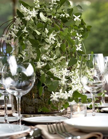 Flowers & Dirt Jasmine Arrangement, Plant Centerpieces, Sweet Autumn Clematis, Jasmine Wedding, Expensive Flowers, Autumn Clematis, Rural Wedding, Galvanized Buckets, Wedding Motifs