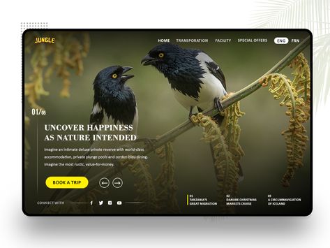 Slider Ui, Slider Web, Ui Ux Design Trends, Ux Design Trends, Website Slider, Premium Website, Slider Design, Ui Design Website, Website Header