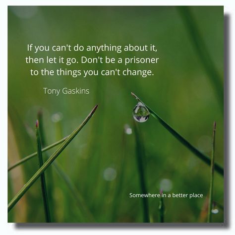 If you can't do anything about it, then let it go. Don't be a prisoner to the things you can't change. ~Tony Gaskins Tony Gaskins, Let It Go, Do Anything, The Things, Letting Go, Let It Be, Canning, Quotes