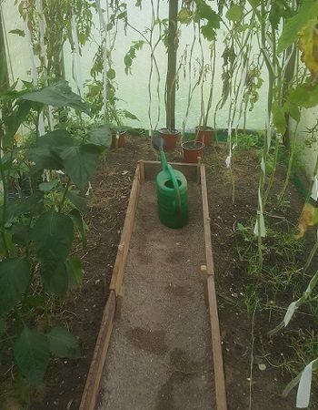 Setting Up A Greenhouse, How To Set Up A Greenhouse, How To Start A Greenhouse, Greenhouse Setup, 6x8 Greenhouse, Greenhouse Studio, Greenhouse Base, Garden Huts, Greenhouse Frame