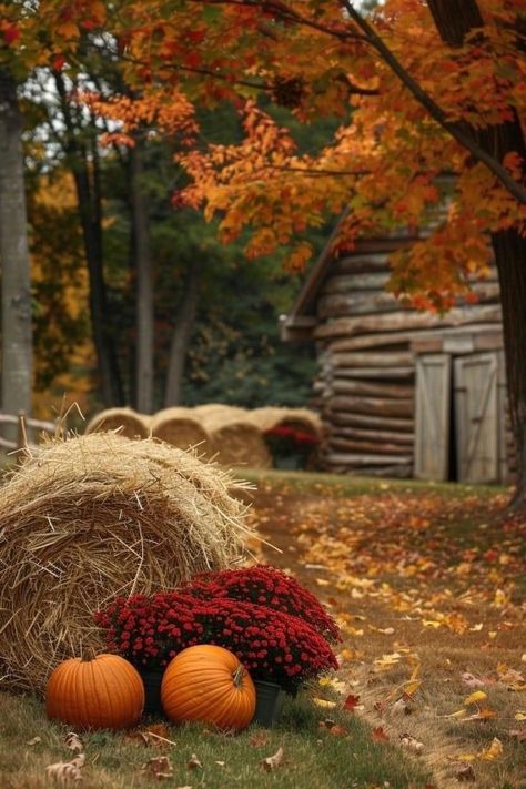 📌 August 25, 2024       @ColleSemplice Autumn Lockscreen, Outdoor Fall Decor, Magical Autumn, Outdoor Scenery, October Art, Fall Country, Autumn Magic, Fall Inspiration, Fall Outdoor Decor