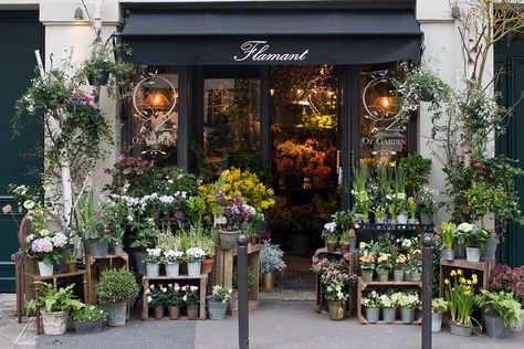 paris flower shop in the winter #paris #flowershop #leftbank #rebeccaplotnick Francophile Gifts, Paris Bathroom, Flower Shop Interiors, Flower Shop Decor, Flower Shop Design, Paris Art Print, 카페 인테리어 디자인, Plant Shop, Flower Store