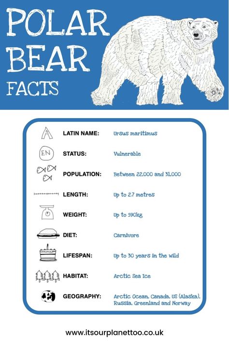 Endangered Animals Project, Polar Bear Facts, Bear Facts, Animal Facts For Kids, Arctic Sea, Winter Preschool, Arctic Ocean, Endangered Animals, Fascinating Facts