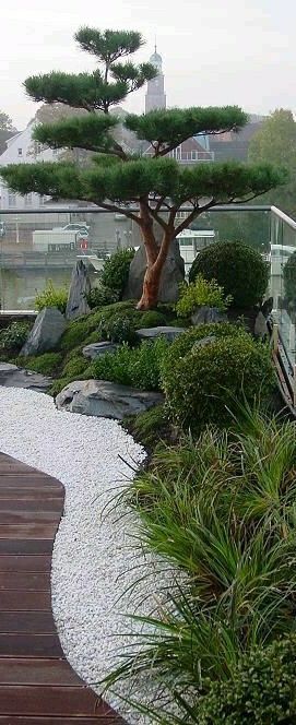 Japanese Garden House, Reka Bentuk Landskap, Japanese Water Gardens, Japanese Garden Decor, Small Japanese Garden, Japanese Garden Landscape, Zen Garden Design, Japan Garden, Japanese Water