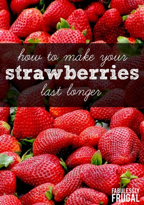 Make your strawberries last for weeks instead of days using this tip! Since strawberries are starting to be in season, I have been wondering how I can make the most out of this AWESOME fruit! I saw this tip on making your strawberries last longer (I can’t even remember where now), but I tried it Moldy Strawberries, How To Clean Strawberries, Store Strawberries, Strawberry Vinegar, How To Store Strawberries, Fruit Hacks, Gluten Free Meal Plan, Food Substitutions, How To Store