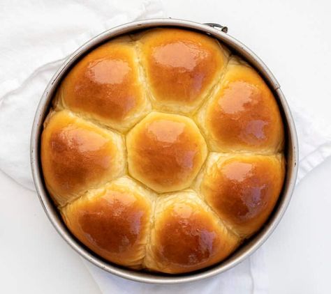 Japanese Milk Bread Rolls take dinner rolls to a whole new level of melt-in-your-mouth goodness. It is all because of the Tangzhong mixture that is added to the dough. Baking, Rolls, Tangzhong, Side Dish, Rolls, Bread, recipes, iambaker, i am baker Milk Bread Rolls, Potato Rolls Recipe, Easy Yeast Rolls, Hokkaido Milk Bread, Japanese Milk Bread, Milk Bread Recipe, Fluffy Dinner Rolls, Bread Rolls Recipe, I Am Baker