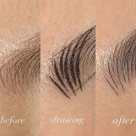 Microblading Before and After Pictures (2023): Best Results Eyebrow Microblading Before After, Microblading Before And After, Microblading Eyebrows Before And After, Before And After, Natural Microblading Eyebrows, Eyebrow Artist, Eyebrow Permanent Makeup, Mircoblading Eyebrows, Eyebrow Before And After