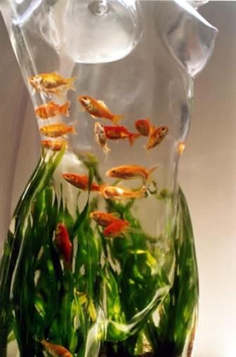 Cool Fish Bowl. ;) Art Mannequin, Cool Fish Tanks, Mannequin Art, Cool Fish, 카드 디자인, Have Inspiration, Aquarium Fish Tank, Fish Bowl, Cool Stuff