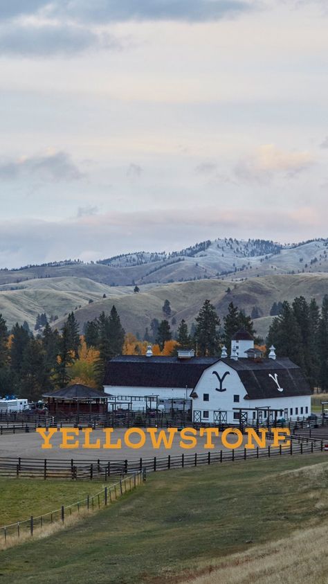 Rio And Beth, Yellowstone Series, Country Backgrounds, Western Wallpaper Iphone, Cow Print Wallpaper, Montana Ranch, Cowboy Aesthetic, Ranch Life, Yellow Stone