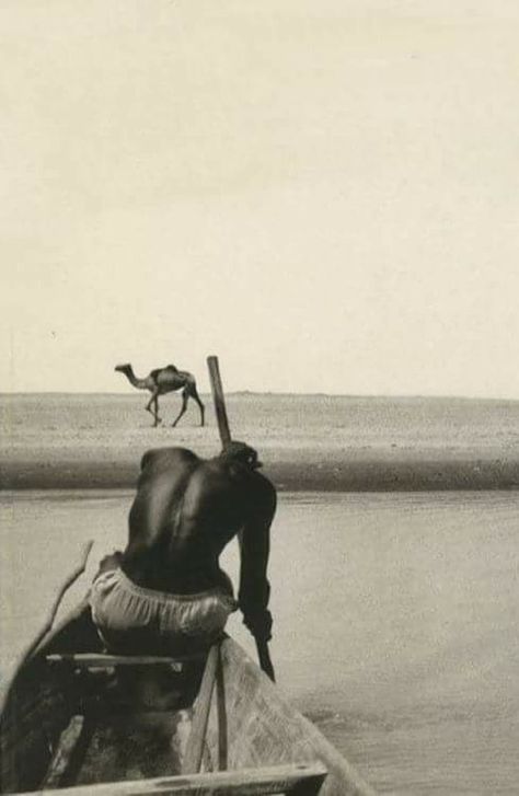 Great Black And White Photographs From The Masters Of Photography Robert Frank, Black Photography, Photo B, Beautiful Man, Black And White Portraits, Red Sea, Source Unknown, Bw Photo, Black And White Photographs