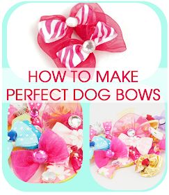 Dog Bows Diy, Groomer Humor, Grooming Ideas, Cold Hands Warm Heart, Grooming Business, Grooming Shop, Dog Hair Bows, Dog Groomer, Grooming Salon