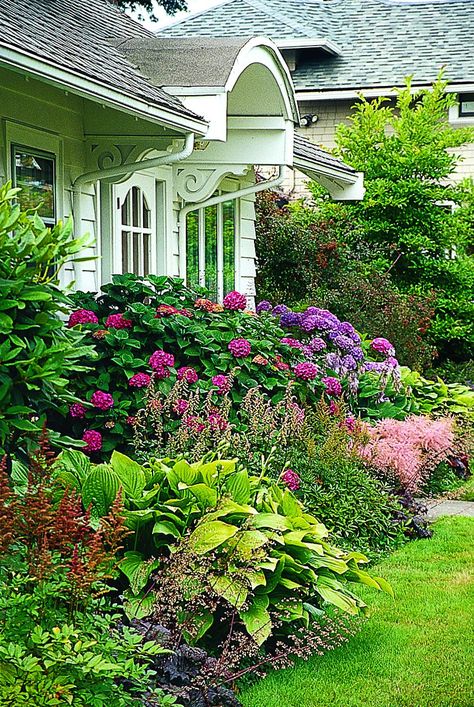 Foundation Plants: Design Ideas For Beautiful Landscaping - This Old House Front Garden Design, Foundation Planting, Front Landscaping, Garden Shrubs, Homestead Survival, Front Yard Garden, Plants And Flowers, House Landscape, Front Yard Landscaping Design