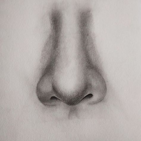 How to Draw a Nose: Step By Step Guide For Beginners - Hobby Lesson How To Draw A Nose Step By Step Easy, Sketch Nose, Art Nose, Coloring Materials, Nose Tattoo, How To Draw A Nose, Draw A Nose, Tree Drawings Pencil, Story Post