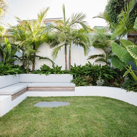 South Coogee Project | Stone Lotus Landscape Backyard, Landscaping Backyard, Tropical Garden Design, Courtyard Gardens Design, Pool Landscape Design, Backyard Renovations, Garden Idea, Backyard Pool Landscaping, Casa Exterior