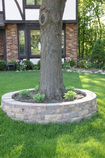 my best friend craig: RETAINING WALL AROUND A TREE Garden Ideas Around A Tree, Bench Around Trees, Landscaping Around Trees, Tree Planters, Landscaping Retaining Walls, Front Yard Design, Home Landscaping, Front Yard Landscaping Design, Patio Stones