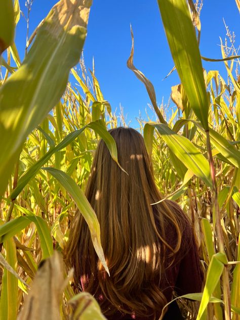 Corn Maze Photoshoot, Corn Maze Pictures, Corn Maze Aesthetic, Autumn Academia, Fall Couple Photos, Pumpkin Patch Pictures, Book Mood, Apple Hill, Fall Couple