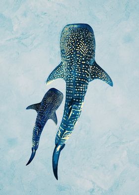 Shark Background, Ocean Stuff, Giant Poster, Whale Sharks, Theme Pictures, Gold Poster, Beach Posters, Blue Poster, Ocean Theme