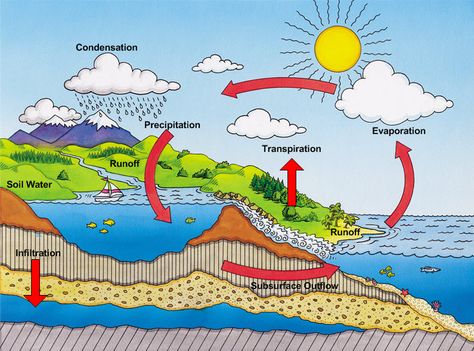 water cycle | water_cycle Water Cycle Chart, Water Cycle Game, Water Cycle Anchor Chart, Water Cycle Song, Water Cycle Craft, Water Cycle Lessons, Water Cycle Model, Water Cycle For Kids, Water Cycle Poster