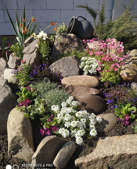 Rockery Garden, Moderne Have, Succulent Garden Landscape, Alpine Garden, Stone Landscaping, Front Garden Landscape, Landscaping With Boulders, Rock Garden Plants, Rock Garden Design