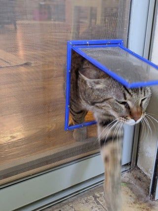 Diy Interior Cat Door, Cat Door For Window, Cat Door Diy, Diy Screen Door, Cat Patio, Cat Flap, Outdoor Cat Enclosure, Pet Doors, Cat House Diy