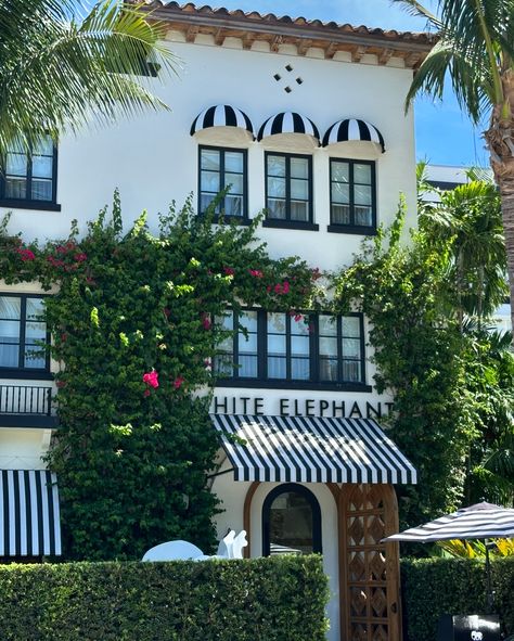 Discover the Charm of the White Elephant Hotel in Palm Beach! 🌴🏨 📍 Location: 280 Sunset Ave, Palm Beach, FL 33480 Why is the White Elephant Hotel so unique? Let’s dive in! 🏖️ ✨ Uniqueness: This luxurious boutique hotel is a perfect blend of historic elegance and modern sophistication. Once a classic 1920s building, it has been meticulously restored to offer a unique and unforgettable stay. 🎨 Décor: Step inside and be mesmerized by the contemporary art, sleek furnishings, and chic decor th... White Elephant Hotel Palm Beach, White Elephant Palm Beach, Beach Boutique Hotel Design, Boutique Hotels Design, Beach Location, Beach Boutique, Palm Beach Fl, Trotter, Hotel Design