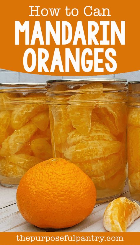 How To Preserve Mandarin Oranges, Canning Mandarins, Manderine Orange Recipe, Canning Clementines, Mandarins Recipes, Unique Canning Recipes, Canning Mandarin Oranges, Canning Flour, Canning Citrus