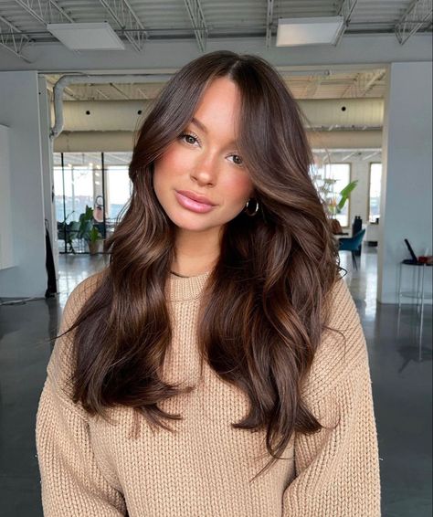 Soft Brown Balayage Subtle Highlights, Light Brown Layered Hair Medium, Rick Brown Hair Color, Brown Hair W Dimension, Highlights Brown Hair No Bleach, Asian Brunette Hair Dark Brown, Low Maintenance Brunette Balayage, Dark Gloss On Hair, Haircolor Ideas For 2023 Brown