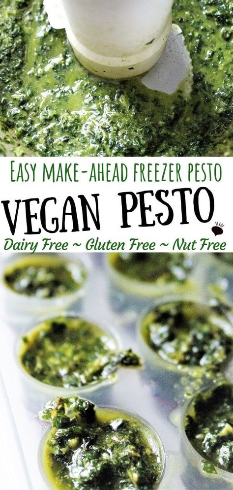 An easy vegan pesto recipe that is nut free, gluten free, dairy free, and easy to make ahead and freeze in perfect amounts for all you vegan recipes that call for basil or pesto.  Make it with or without nuts.  Turn it into a delicious vegan pesto pasta sauce or add it to soups or Italian dishes. #veganpesto #dairyfreepesto #veganglutenfree #thehiddenveggies via @https://www.pinterest.com/gfveganmeals/ Pasta Sauce Dairy Free, Vegan Pesto Recipe, Nut Free Pesto, Dairy Free Pesto, Basil Pesto Recipes, Dairy Free Pasta, Vegan Pesto, Sandwich Spread, Vegan Keto