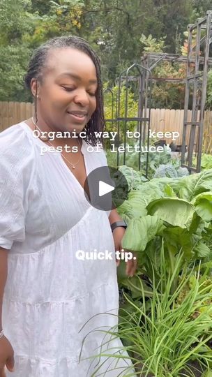 Agriculture Tips, Garden Prep, Acreage Living, Chive Seeds, City Kitchen, Texas Garden, Garden Prepping, Lettuce Seeds, Garden Hacks