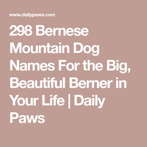 298 Bernese Mountain Dog Names For the Big, Beautiful Berner in Your Life | Daily Paws Great Bernese, Bernese Mountain Dog Names, Burnese Mountain Dog, Bubba Burgers, Bernese Puppy, Boy Dog Names, Female Dog Names, Best Dog Names, Bernese Mountain Dog Puppy