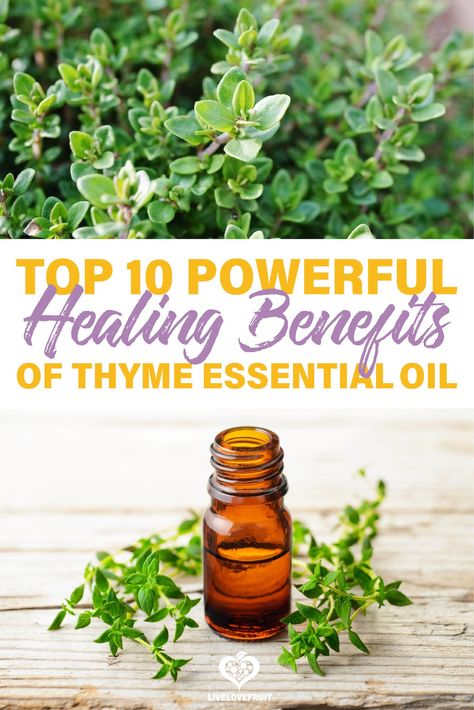 Thyme Oil Benefits, Thyme Essential Oil Uses, Benefits Of Thyme, Thyme Benefits, Natural Medicines, Thyme Herb, Herbal Remedies Recipes, Lung Health, Thyme Essential Oil