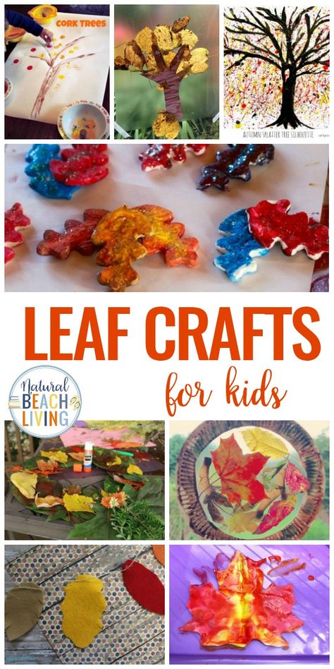 Bring the beauty of fall indoors with these 25 Leaf Crafts for Kids. These fun seasonal craft projects are perfect for kids to make themselves or in a classroom. Craft with real leaves and sticks to create beautiful artwork and colorful displays for autumn. Fall Crafts for Kids and Easy fall leaf craft activities #fallcrafts #craftsforkids #fall #leaves #preschool #kindergarten Leaf Crafts For Kids, Leaf Science, Leaf Activity, Leaf Activities, Leaf Craft Activities, Fall Sensory Bin, Fall Sensory, Leaf Craft, Autumn Leaves Craft