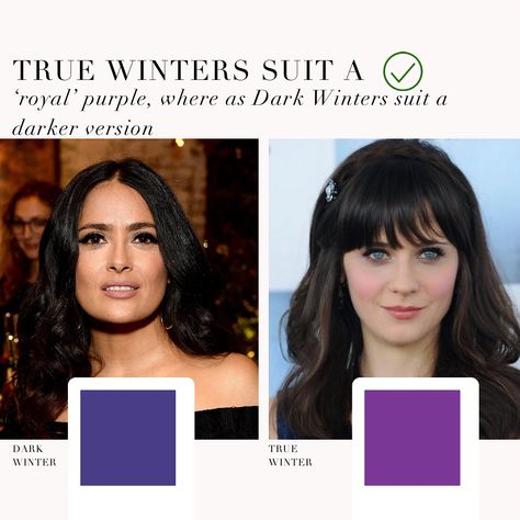 Dark Winter / Deep Winter VS True Winter palette 🖤 . #coloranalysis #colouranalysis #winterpalette #truewinter #darkwinter #deepwinter #coloranalyst #zooeydeschanel #salmahayek Dark Winter Colour Palette, True Winter Outfits, True Winter Palette, True Winter Makeup, Color Analysis Winter, Winter Deep, Deep Winter Palette, Colour Season, Deep Winter Colors