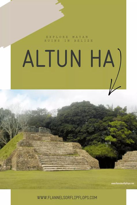 Altun Ha: Everything you need to know Altun Ha Belize Mayan Ruins, European Cruises, Latin America Travel, Budget Vacation, Central America Travel, Tour Bus, Ancient Mayan, Mayan Ruins, Central American