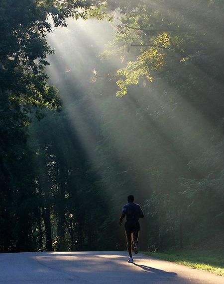 "Everyone is an athlete. The only difference is that some of us are in training, and some are not" - Dr. George Sheehan Foto Sport, Running Photography, Running Photos, Half Marathon Training Plan, Marathon Training Plan, Endurance Workout, Running Inspiration, Qi Gong, Morning Running