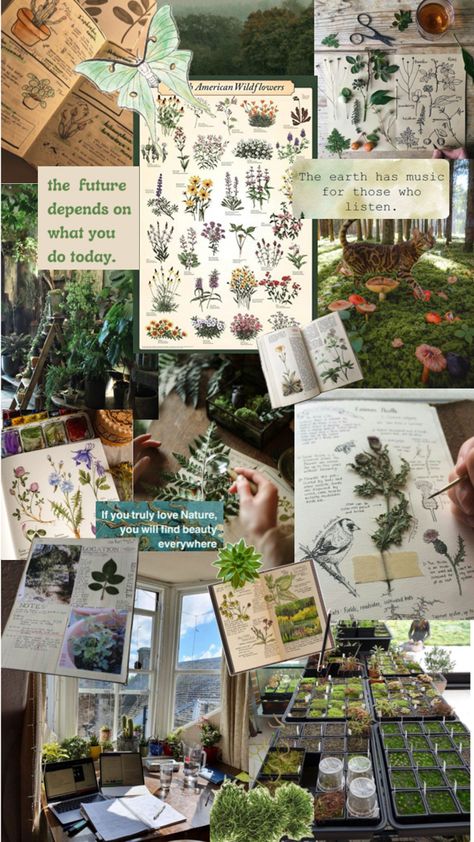 Vision board for my dream life Plant Vision Board, Botanicals Aesthetic, Nature Vision Board, Botanist Aesthetic, Job Motivation, My Dream Life, Witchy Wallpaper, Nature Journal, Find Beauty