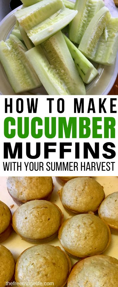 If you have fresh cucumbers piling up, try something new! These cucumber muffins are the perfect way to preserve your cucumber harvest. They freeze well and make an easy snack or breakfast and are perfect for packing in lunch boxes for school or work! Food Preservation|  Gardening | Preserving Cucumbers Cucumber Muffin Recipe, Easy Snacks For Men, Sweet Cucumber Recipes, Cucumber Baking Recipes, Cucumber Recipes Appetizers, Cucumber Muffins, Cucumber Recipes Easy, Cucumber Ideas, Cucumbers Recipes