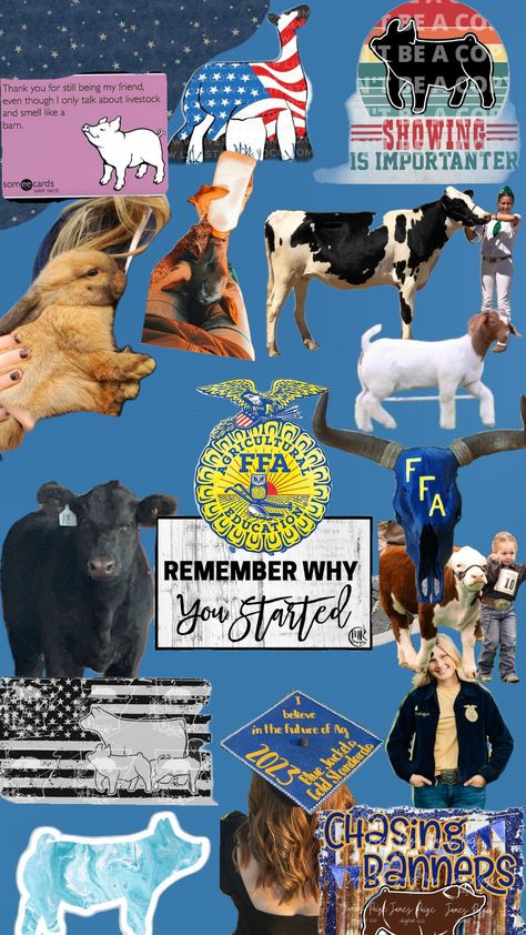 #livestock #ffa #cattleshows #goatshowing #pigshows #ffagirlie #wallpapers #livestockshow Ffa Paintings Ideas, Ffa Wallpaper, Livestock Aesthetic, Ffa Aesthetic, Ffa Scrapbook Ideas, Ffa Scrapbook, Cute Car Seat Covers, Ag Teacher, Western Wallpaper