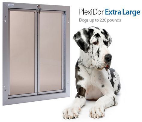 Having trouble finding an extra large dog door for your giant breed? Our XL pet doors are the right fit for dogs up to 220 lbs, such as Great Danes, St. Bernards, and more! Visit our website and request a free catalog to learn more! Great Dane Dog Door, Dog Doors For Large Dogs, Large Dog Door, Doggie Door, Dog Doors, St Bernards, Airline Pet Carrier, Pet Doors, Giant Breeds