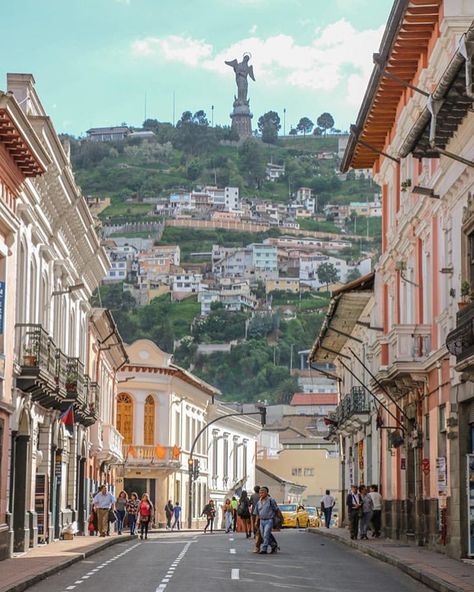 📸@choi_coca 📍Quito ⠀⠀⠀⠀⠀⠀⠀⠀⠀⠀⠀⠀ ⠀⠀⠀⠀⠀⠀⠀⠀⠀⠀⠀⠀ ⠀⠀⠀⠀⠀⠀⠀⠀⠀⠀⠀⠀ ⠀⠀⠀⠀⠀⠀⠀⠀⠀⠀⠀⠀ ⠀⠀⠀⠀⠀⠀⠀⠀⠀⠀⠀⠀ #allyouneedisecuador #ecuador #natgeotravel… Ecuador Pictures, Manifesting Board, Spanish Projects, Travel Aesthetics, Ecuador Travel, Quito Ecuador, Travel Wishlist, Quito, Travel Stories