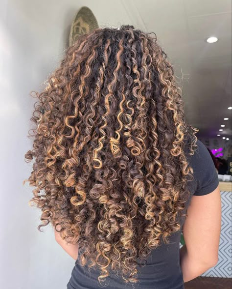 Curly Hair Color Ideas, Blonde Highlights Curly Hair, Curly Hair Color, Curly Highlights, Dyed Curly Hair, Natural Curly Hair Cuts, Highlights Curly Hair, Mixed Curly Hair, Honey Brown Hair