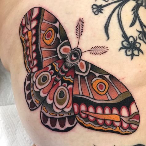 Traditional Moth Tattoo, Moth Tattoos, Traditional Butterfly Tattoo, Moth Tattoo Design, Neotraditional Tattoo, Single Needle Tattoo, Insect Tattoo, Mushroom Tattoos, Moth Tattoo